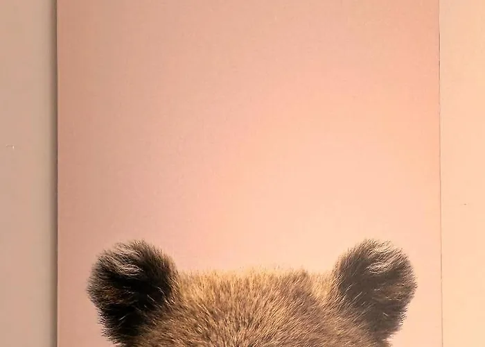 Апартаменты Perla Delle Alpi *